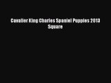 Cavalier King Charles Spaniel Puppies 2013 Square  Free Books