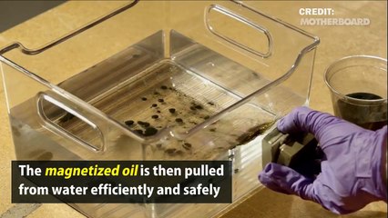 This technique could clean oil spills using magnets