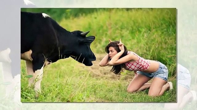 Top Funny Videos 2015 | Right Moment Pics Fail | PHOTOS TAKEN AT The RIGHT TIME (Funny Videos 720p)