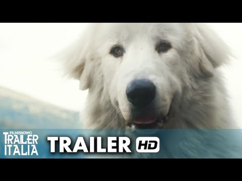 Belle & Sebastien - L'avventura Continua Trailer Italiano Ufficiale (2015) HD