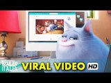 Pets – Vita da Animali Viral Video 'Buone Feste' (2016) HD