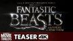 Fantastic Beasts and Where to Find Them Trailer Tease - Eddie Redmayne [4K] Ultra HD