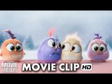 The Angry Birds Movie 'Season's Greetings from the Hatchlings!' [HD]