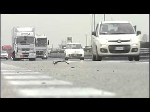 Audi i verdhë, një nga të dyshuarit në polici: Nuk kemi lidhje! - Top Channel Albania - News - Lajme