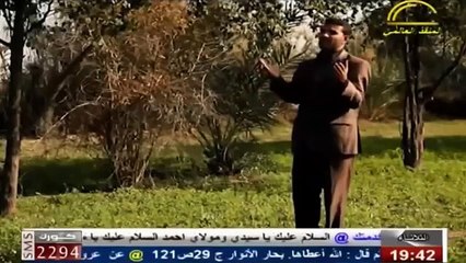 الشاعر ميثم الطفيلي - تباوع عل نجم  زينب بقت ساعات