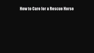 How to Care for a Rescue Horse  Free Books