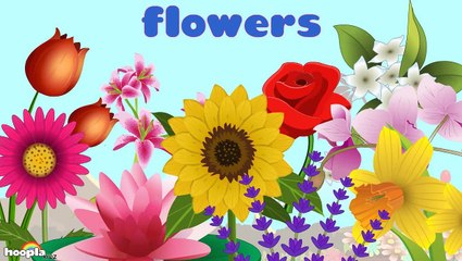 Learn About Flowers - Preschool Activity