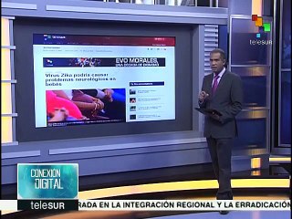 OMS informa sobre prevención y efectos del virus zika