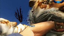Far Cry 3 1000 Tigers Vs RPG Massive Scale Battles!