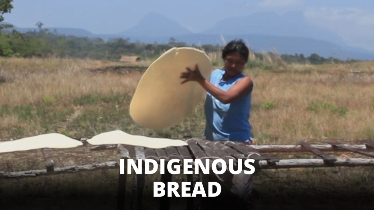 Indigenous Cooking: How to make Casabe bread