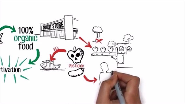 Aquaponics Fish - Easy DIY Aquaponics