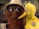 Classic Sesame Street - Big Bird and Snuffy Explore the Street