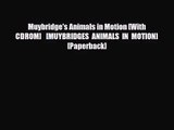 [PDF Download] Muybridge's Animals in Motion [With CDROM]   [MUYBRIDGES ANIMALS IN MOTION]