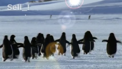 süper bir ilahi dinlemenizi tavsiye ederim