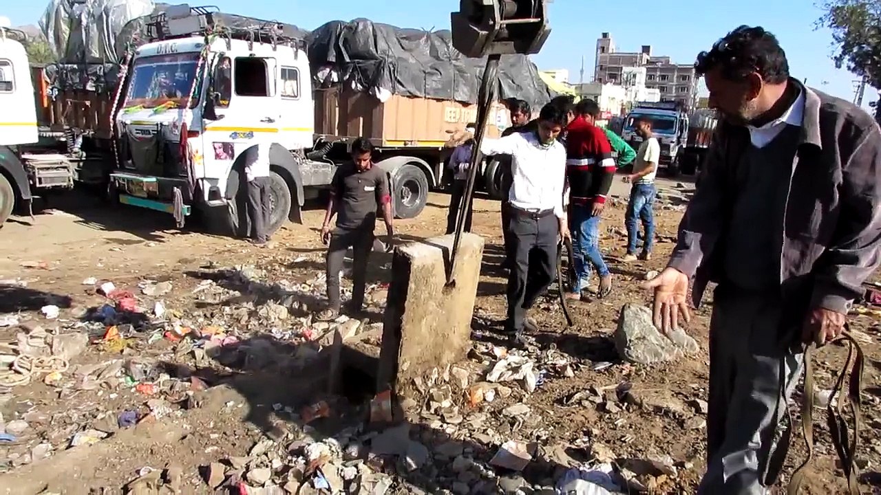 Crane operator comes to bull's rescue