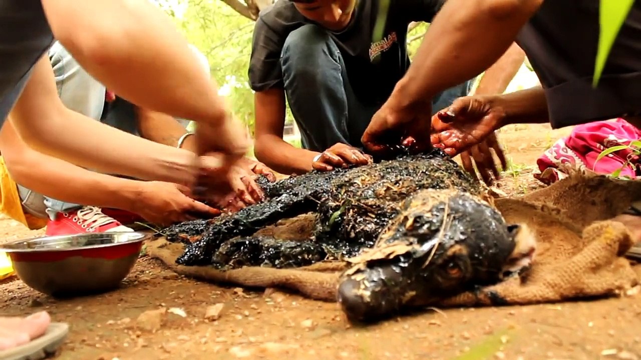 Covered in tar & unable to move, this amazing rescue saved this dog's life!