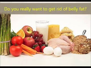 Fat Diminisher System Review