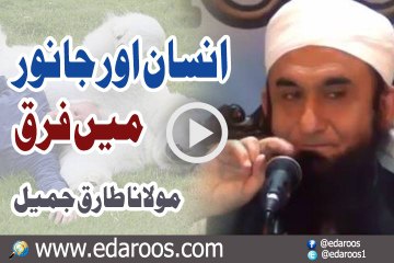 Insan Aur Janwar Main Farq By Maulana Tariq Jameel