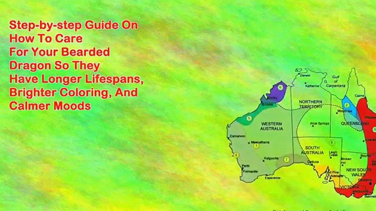 The Bearded Dragon Guide