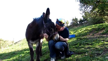 Help make Bonnie's last wish for donkeys come true