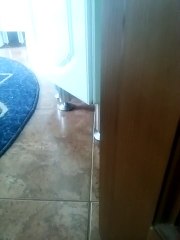 Funny  cats. Милый котик. Играем.