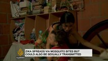 WHO: Zika virus to spread to much of Americas