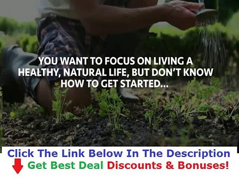 50% Discount On Everyday Roots Book Discount + Bouns