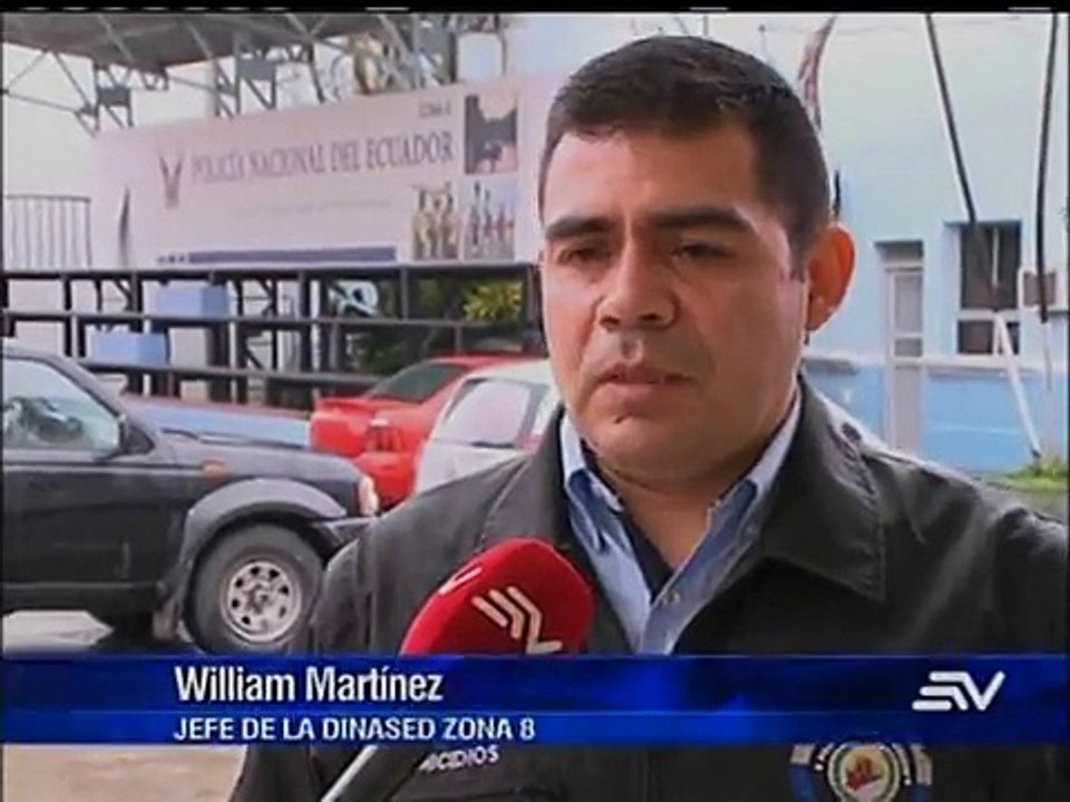 Enero mes Dinased