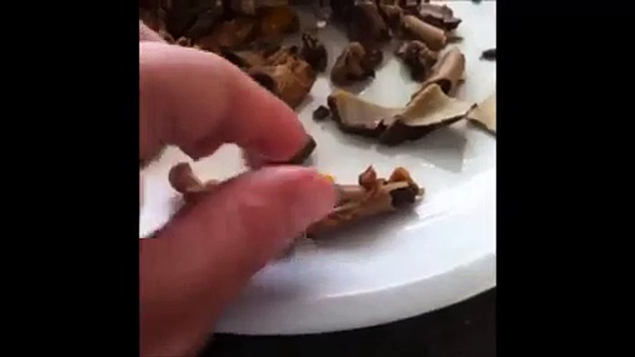 Bones after making bone broth