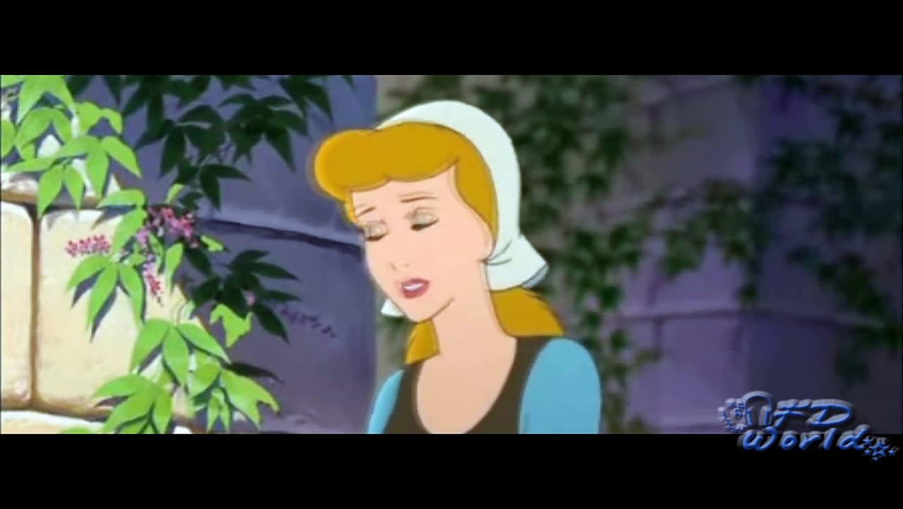 seconda prova per gli amanti di Hachi: Siamo davvero così sfortunati?