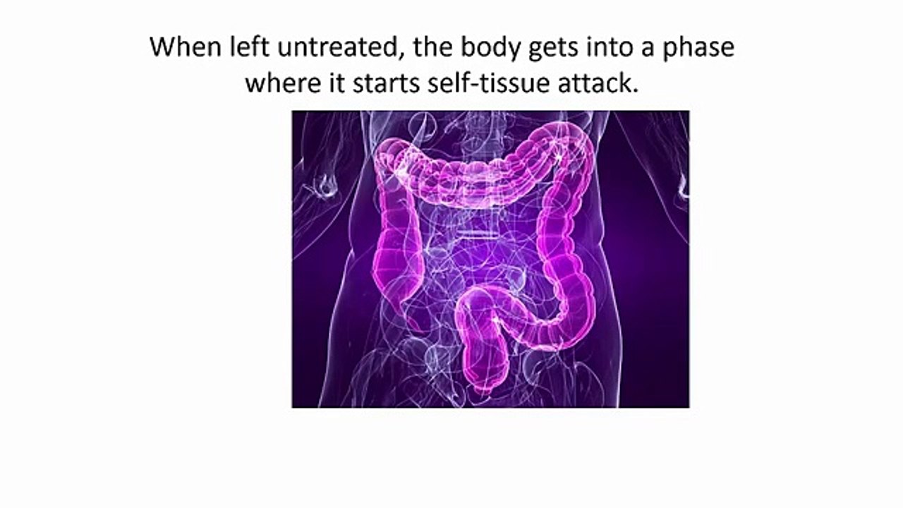 Best Healthy Cookbooks - Autoimmune Paleo Cookbook