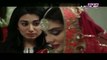 Zindagi Mujhay Tera Pata Chahiye Episode 42 || Full Episode in HQ || PTV Home