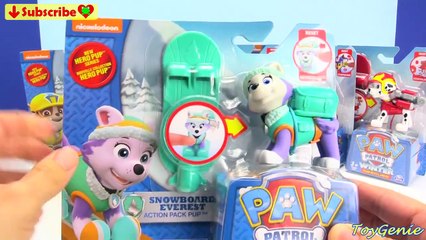 Paw Patrol SNOWBOARD Action Pack Pups in Hero Pup Series