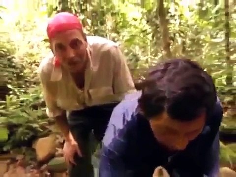 Documental Insectos Mortales | Documentales National Geographic