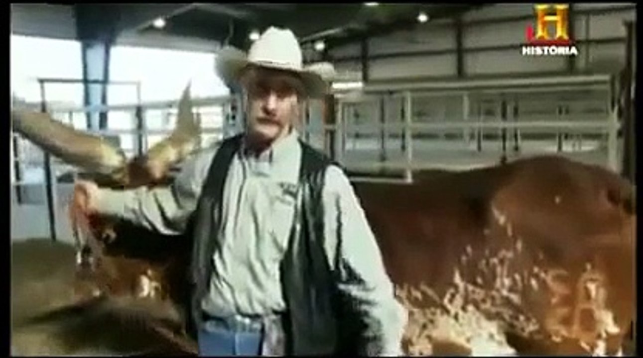 Documental El Proceso de la Leche \"Tipos de Leche\" Documentales de