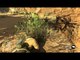 Sniper Elite 3 Gameplay Walkthrough #19 ITA