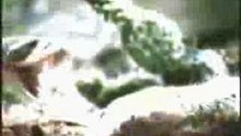 Era Vulgaris Making Of  3/3