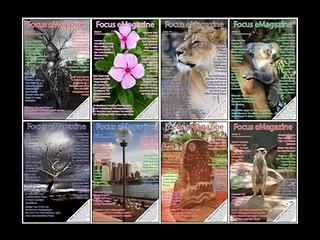 Digital Photography Success Video Review