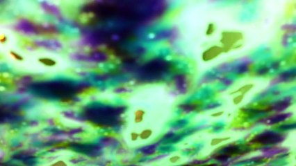 Petro Canada Touchless Car Wash 20340023