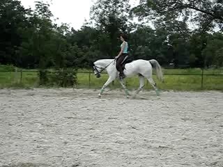 décontraction mai gauche