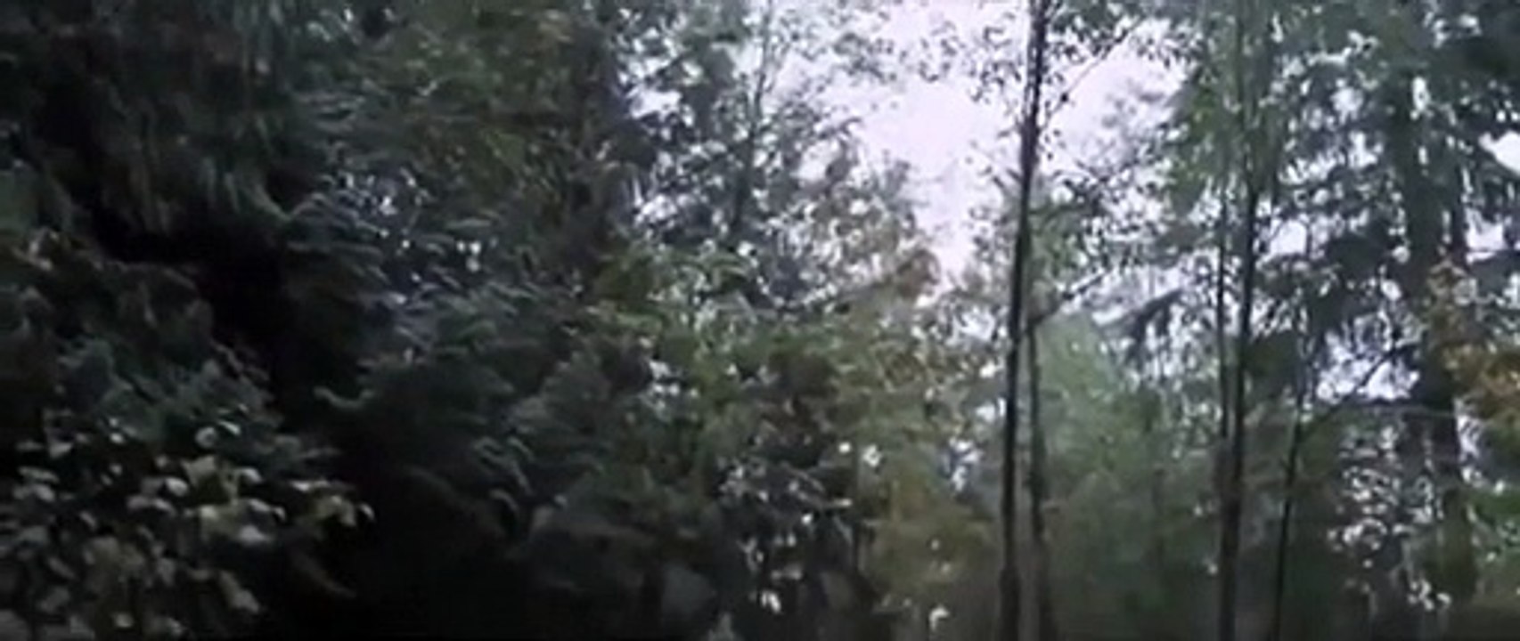 Mejor película de acción 2015 La Conspiración del Poder Echelon Conspiracy completas en es