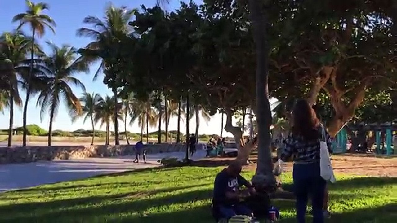 A Special Thanksgiving with Amanda Cerny