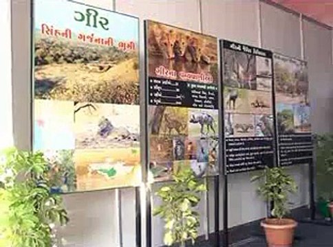 Gir Somnath Drawing Competition & Folk Dance attended by Gujarat CM