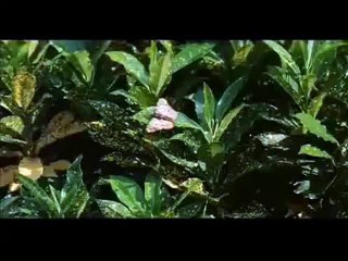 Tera Ghum Mera Ghum Remix - DJ Captivate