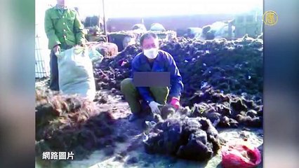 Xếp hạng 10 Thức uống Kinh Khủng Nhất Của Trung Quốc