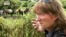 Andreas Kieling - Mitten im wilden Deutschland (5/5) Von der Elbe an die Ostsee (Doku)