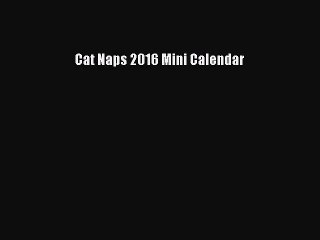 (PDF Download) Cat Naps 2016 Mini Calendar PDF