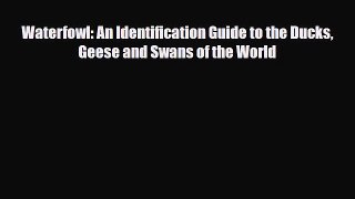 [PDF Download] Waterfowl: An Identification Guide to the Ducks Geese and Swans of the World