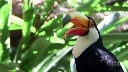 The Whitest Kids U\' Know - Season 4 Episode 6 (full episode)