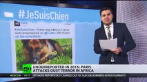 Underreported stories 2015: ISIS oil business, Paris attacks overshadow Nigeria blasts